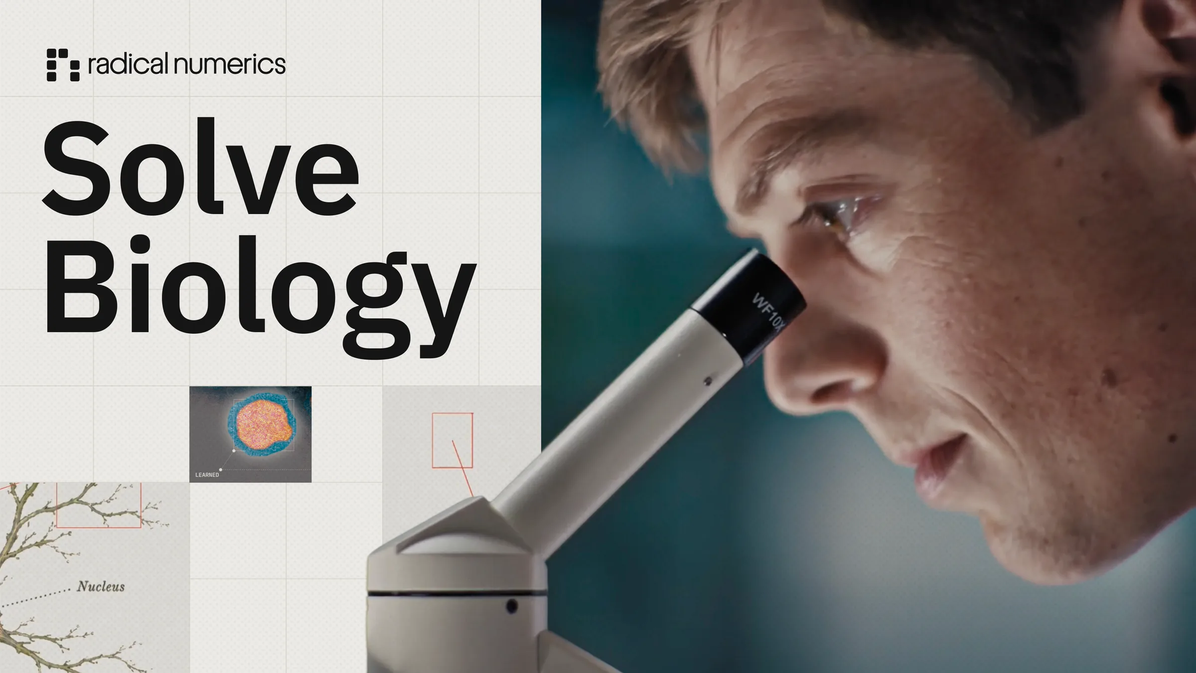 Radical Numerics' Mission is to Solve Biology.